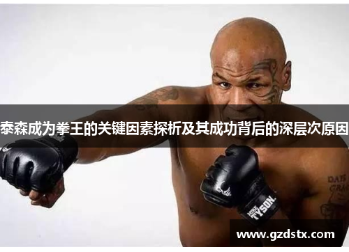 泰森成为拳王的关键因素探析及其成功背后的深层次原因