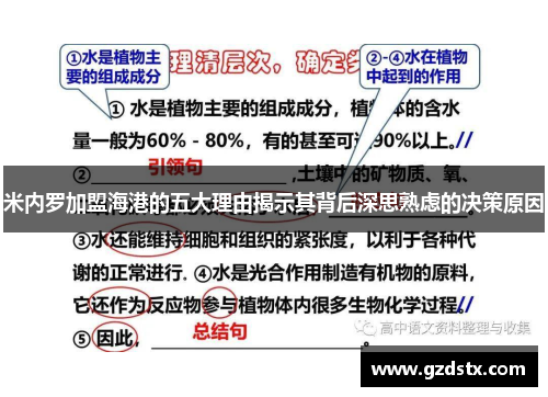 米内罗加盟海港的五大理由揭示其背后深思熟虑的决策原因