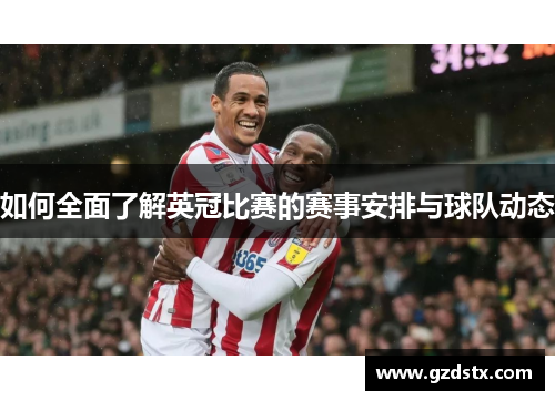 如何全面了解英冠比赛的赛事安排与球队动态