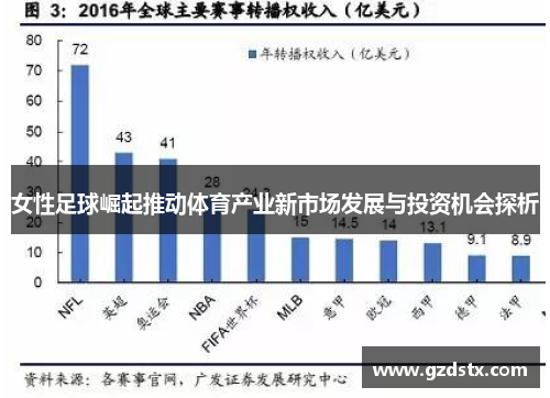 女性足球崛起推动体育产业新市场发展与投资机会探析